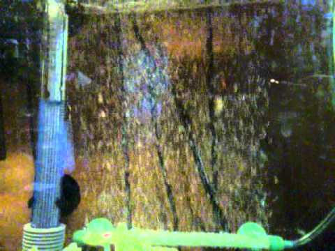 top fin led light bubble wall