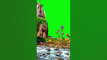 River green screen video | Green screen video | #waterfall #greenscreen | #flowergreenscreen
