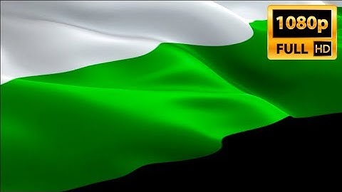 Neutrois Rainbow Pride flag waving. 3d LGBT Homosexual flag. Non binary Sign. Neutrois flag