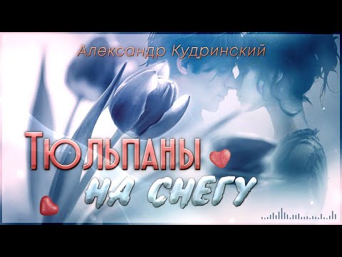 Видео: Александр Кудринский - Тюльпаны на снегу