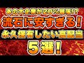 【買い場到来】流石に安すぎる必ず狙うべき高配当銘柄を5銘柄で厳選しました。