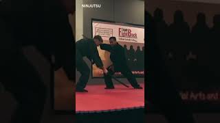 Bujinkan Martial Arts Display