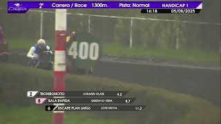 Vidéo de la course PMU IBERIANO