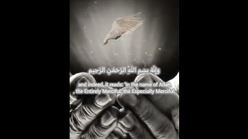 سورة النمل إِنَّهُ مِن سُلَيْمَانَ وَإِنَّهُ بِسْمِ اللَّهِ الرَّحْمَٰنِ الرَّحِيمِ اية ٢٩-٣٠