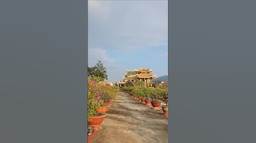 Cảnh chùa Đại Tòng Lâm, Bà Rịa-Vũng Tàu | @lieule9324 @quyen2023 @ThichNhatDao #lieule #chua