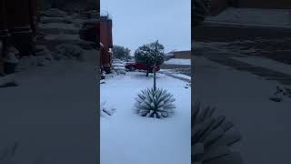 Snow in TUCSON, ARIZONA?!?? 3/2/23