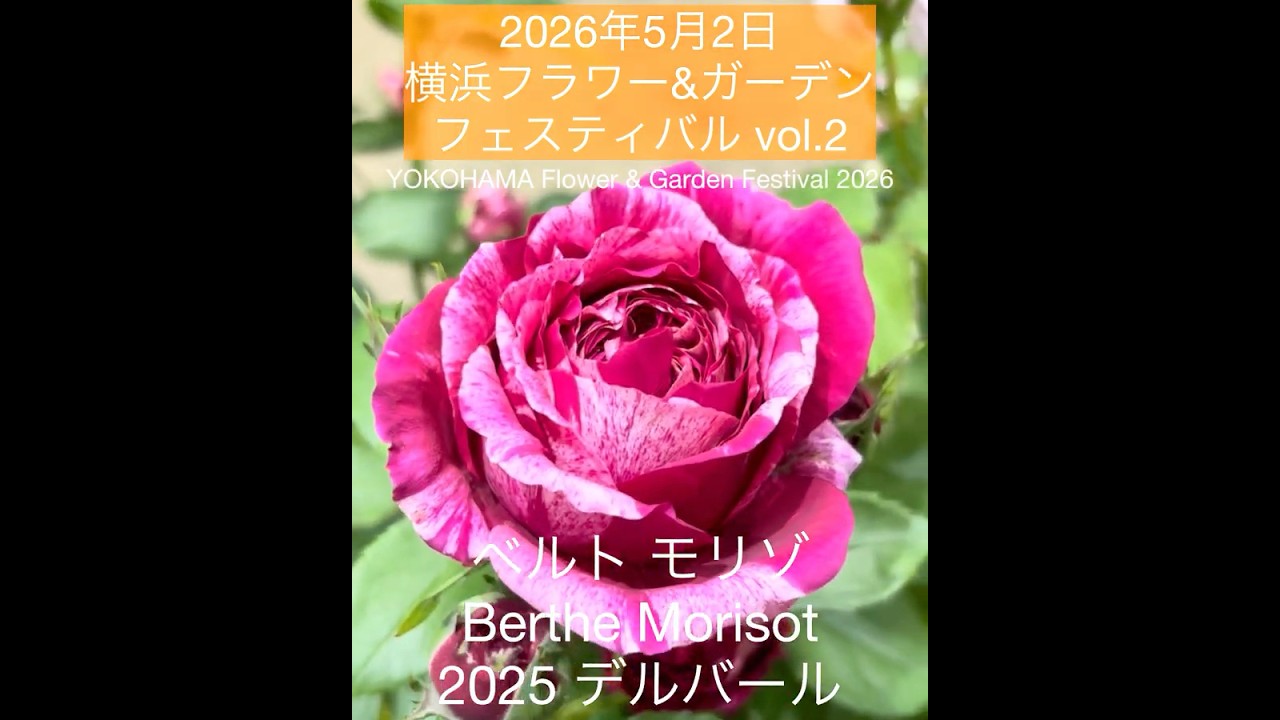 Yokohama Flower & Garden Festival, May 2, 2026] Berthe Morisot and