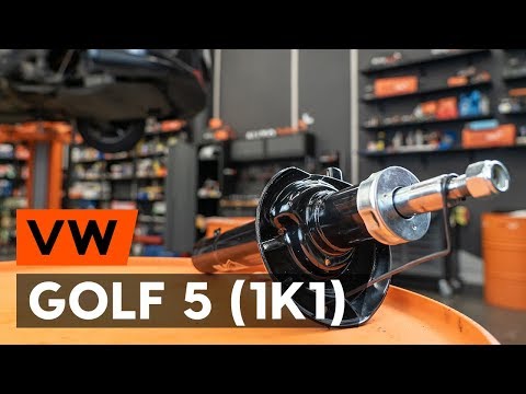 Wie VW GOLF 5 (1K1) Heckklappendämpfer wechseln [AUTODOC TUTORIAL