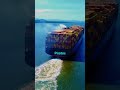 Hizo Algo en el Barco que Nadie Esperaba