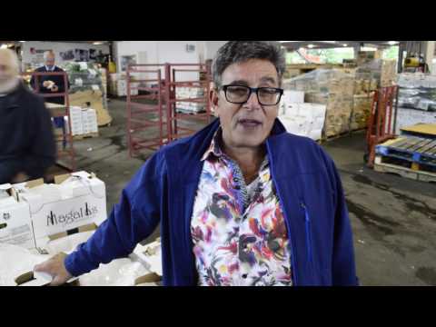 Bamford Produce Fresh Ontario - Episode 1