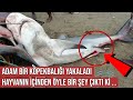 Balıkçı Bir Köpekbalığı Yakaladı, Hayvanın İçinden Öyle Bir Şey Çıktı ki