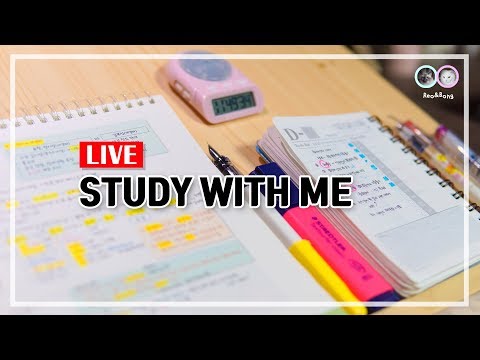 [2019.05.23] 집사 팔베개 / Study With Me / 실시간 공부 방송 / live