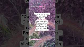 Allah Şifamızı Versin Is