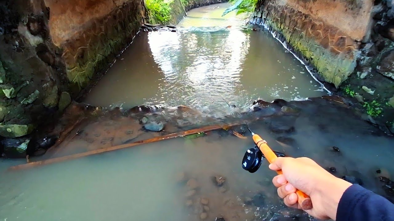 JOSJIS SPOT MANCING WADER NENG KALEN BAWAH JEMBATAN