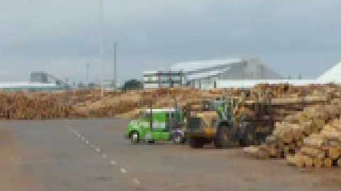 wheel loader loading logs on a truck