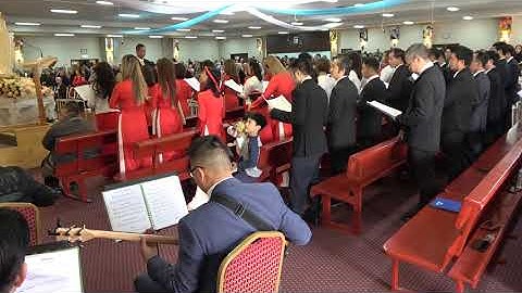 Ca Tiếp Liên - Lm Thái Nguyên. Alleluia - Thiên Lý. Lễ Chúa Thánh Thần Hiện Xuống.