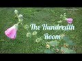 The Hundredth Room Original Lyrics By Heinz Jochensen 