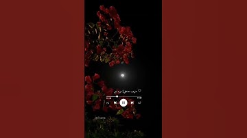 يَـٰحَسْرَةً عَلَى ٱلْعِبَادِ|شريف مصطفى|سورة يسٓ💙 #قرآن #religion #قران_كريم #حالات #حالات_واتس