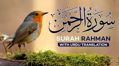 تلاوة ممیزہ من سورت الرحمن وسورت الواقعة (کاملة) بصوت القاری محمود #تلاوة_خاشعة #سورة_الرحمن