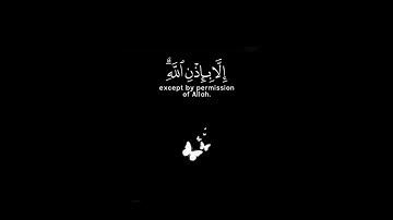 سورة التغابن 🤍.