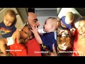 The Cutest Kid In The World! (My Godson Darth Steve) + My Dogs Coco + Roscoe | Lewis Hamilton Vlogs