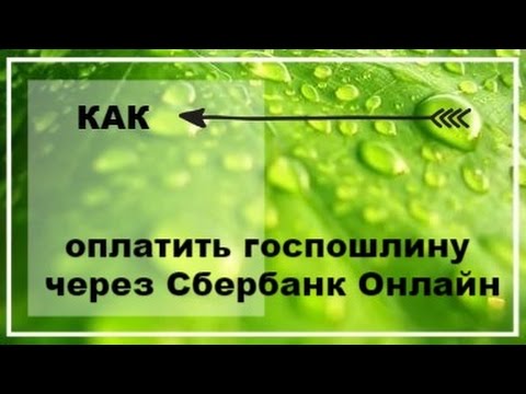 Как оплатить госпошлину через Сбербанк Онлайн