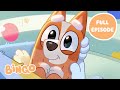 Baby Bingo Dad Baby Bluey Full Episode Bingo Official Channel 
