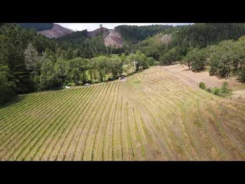375 Porter Creek Rd, Winston, OR home video tour