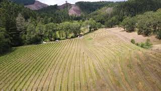 375 Porter Creek Rd video tour