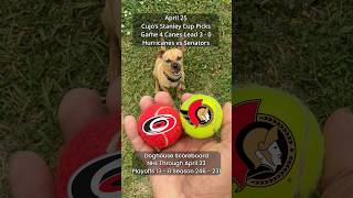 Cujo’s NHL Picks | Carolina Hurricanes vs Ottawa Senators 🏒 04-25-2026 #CujoCatches