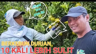 BERKEBUN DURIAN JAUH LEBIH SULIT DARI JERUK #bolangagromalang #kebundurian