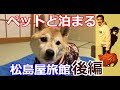 【ペットと泊まる】松島屋旅館｜ふくしま飯坂温泉｜夕食～チェックアウト｜後編