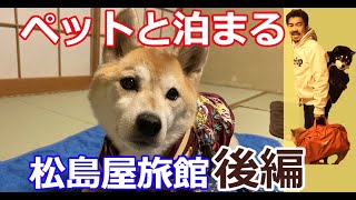 【ペットと泊まる】松島屋旅館｜ふくしま飯坂温泉｜夕食～チェックアウト｜後編