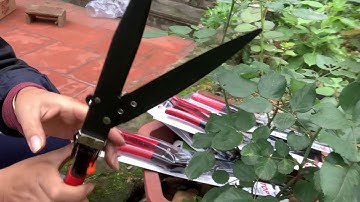 kéo xén cao cấp chất lượng cao dàng cho các bác chơi bonsai cây cảnh lh 0869 054 295,,0975 531 602