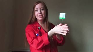 Make a Thaumatrope