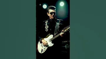 Roy Orbison California Blue Aviation Bobmarley Flowers Art Americanartist Reggae 