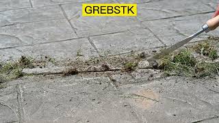 Best Crack Weeder for Pulling Weeds From Your Patio/Driveway---grebstk