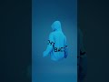 Hoodie Mock Up Version 1 #mockupdesign #hoodie #clothing