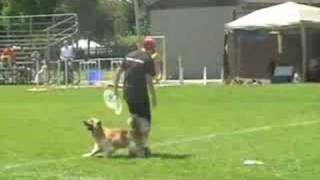 Angela 2008 Skyhoundz Qualifier 
