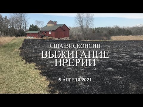 Видео: Какая погода в прерии?