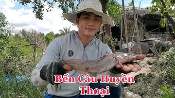 #75|Câu Cá Cần Giờ|Ngày Câu Cá Giải Trí Vẩn Lên Cá ngát Cá Út/Sự Cần Giờ