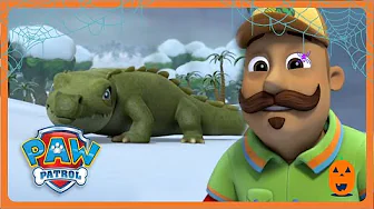 Caimán en la nieve | Paw Patrol | WildBrain Niños