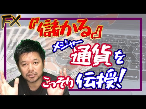 【FX初心者】美味しい注目されてる通貨を話すからちゃんと覚えときや！【通貨の種類,後編】