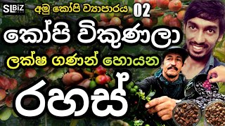 අමු කෝපි වලින් ලක්ෂ ගණන් හොයන රහස් | Business Ideas Sinhala | Coffee bean business | SL BiZ