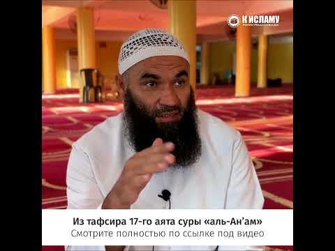 Береженого Бог бережет #shorts Ринат Абу Мухаммад