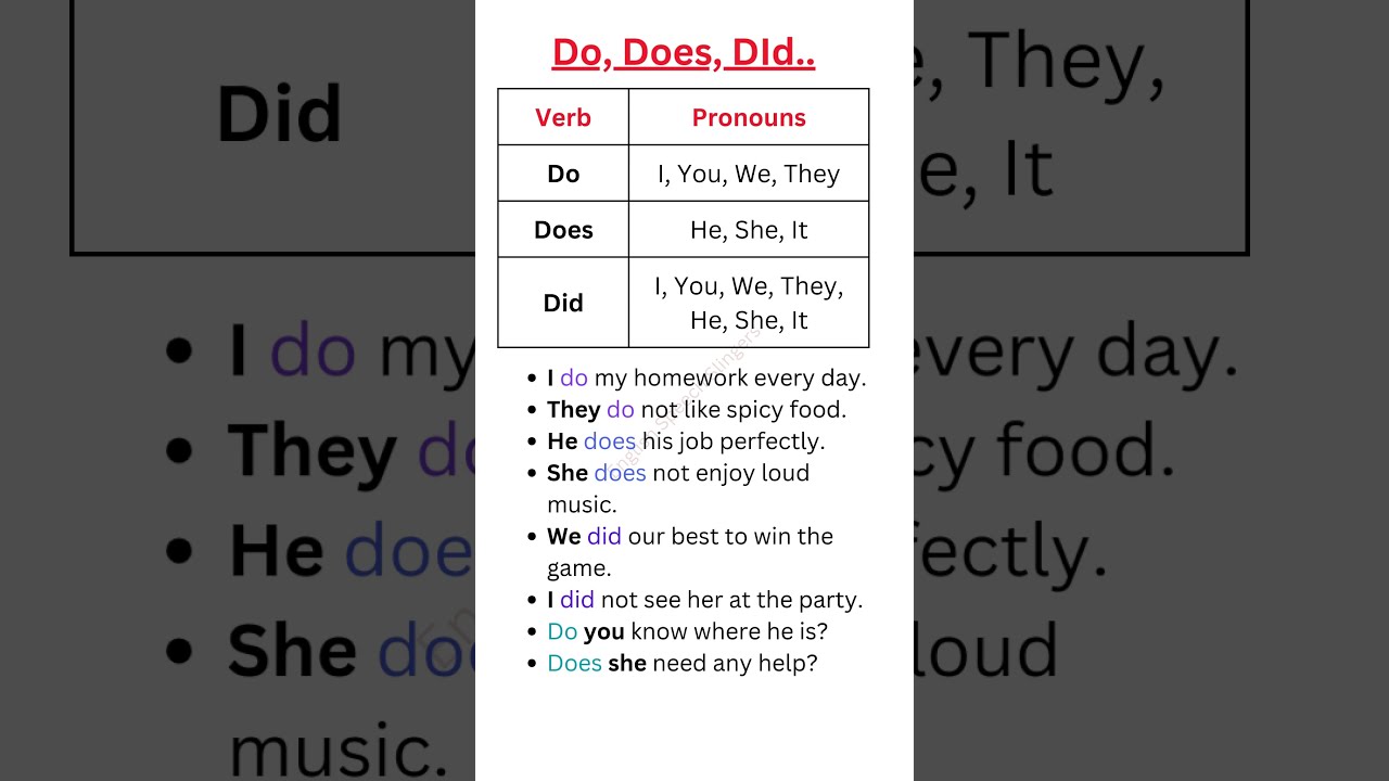 Do Does Did When To Use Example