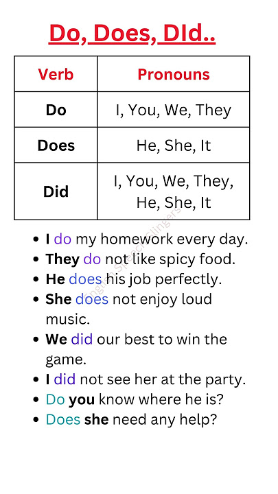 Do, Does, Did | When to use | Example