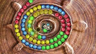 230911 mmc editing turtle 3 16 9 HLM mp4 mp4