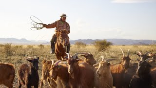 ملاحظين كثرة حالات الاسهال في الغنم والماعز الصغير اليكم الحل السريع من مزرعتي الصغيره