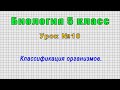 Биология 5 класс (Урок№10 - Классификация организмов.)